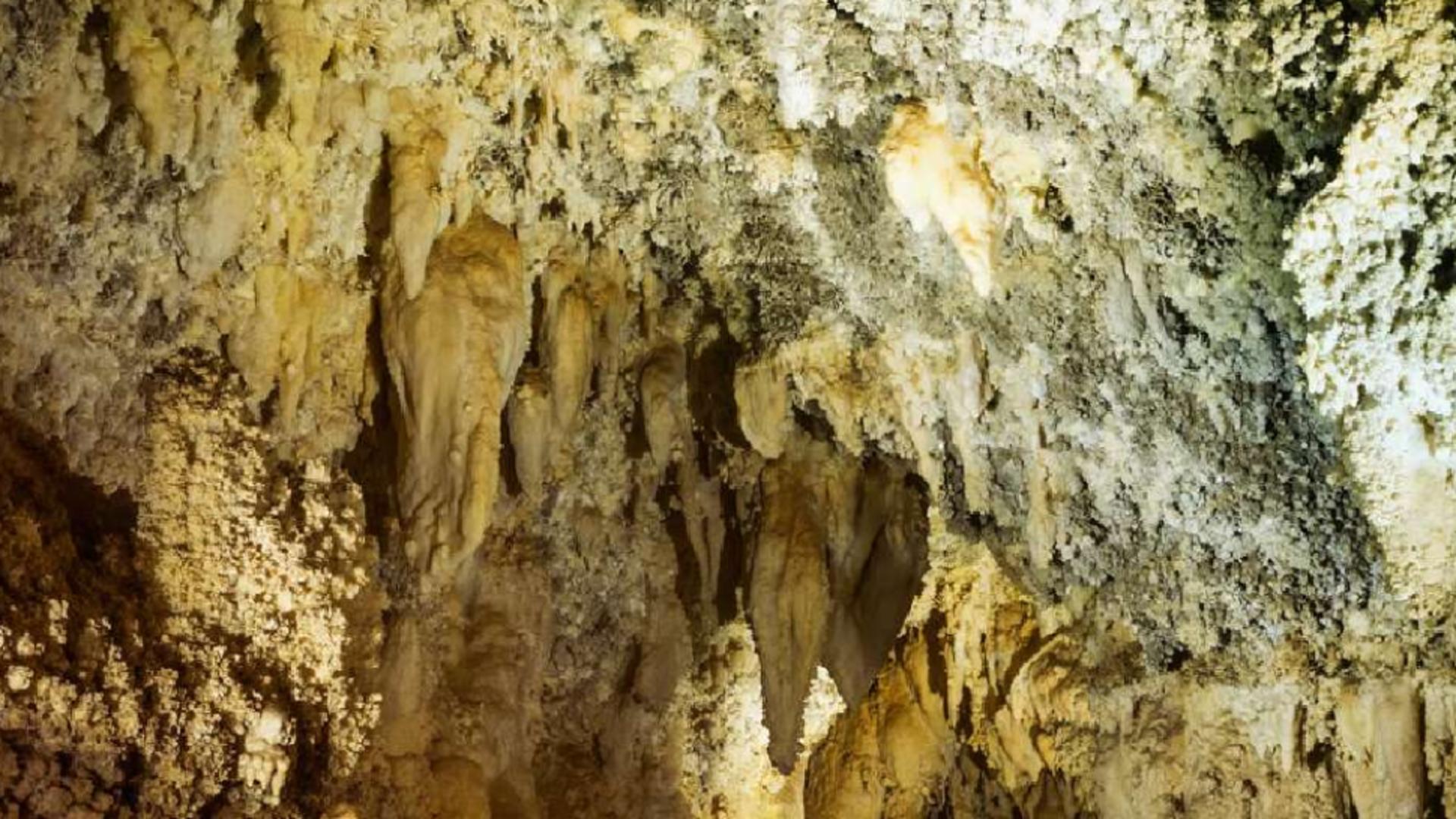 Romania a pierdut exploatarea sarii in favoarea Ungariei