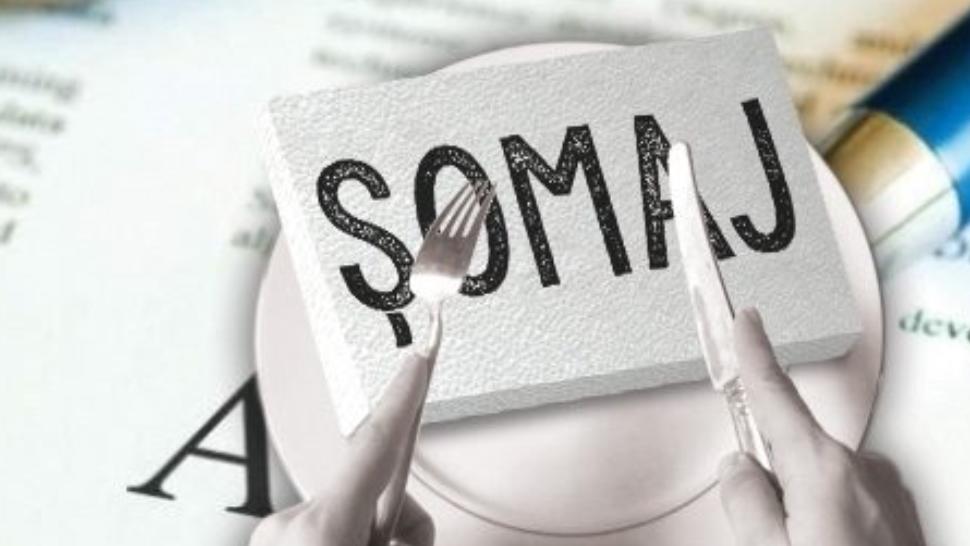 Cifrele realitatii Romania are 8 milioane angajati 500000 someri