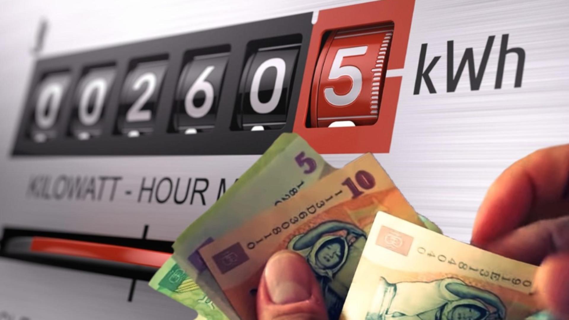 Plafonarea preturilor la energie si gaze adoptata in Senat