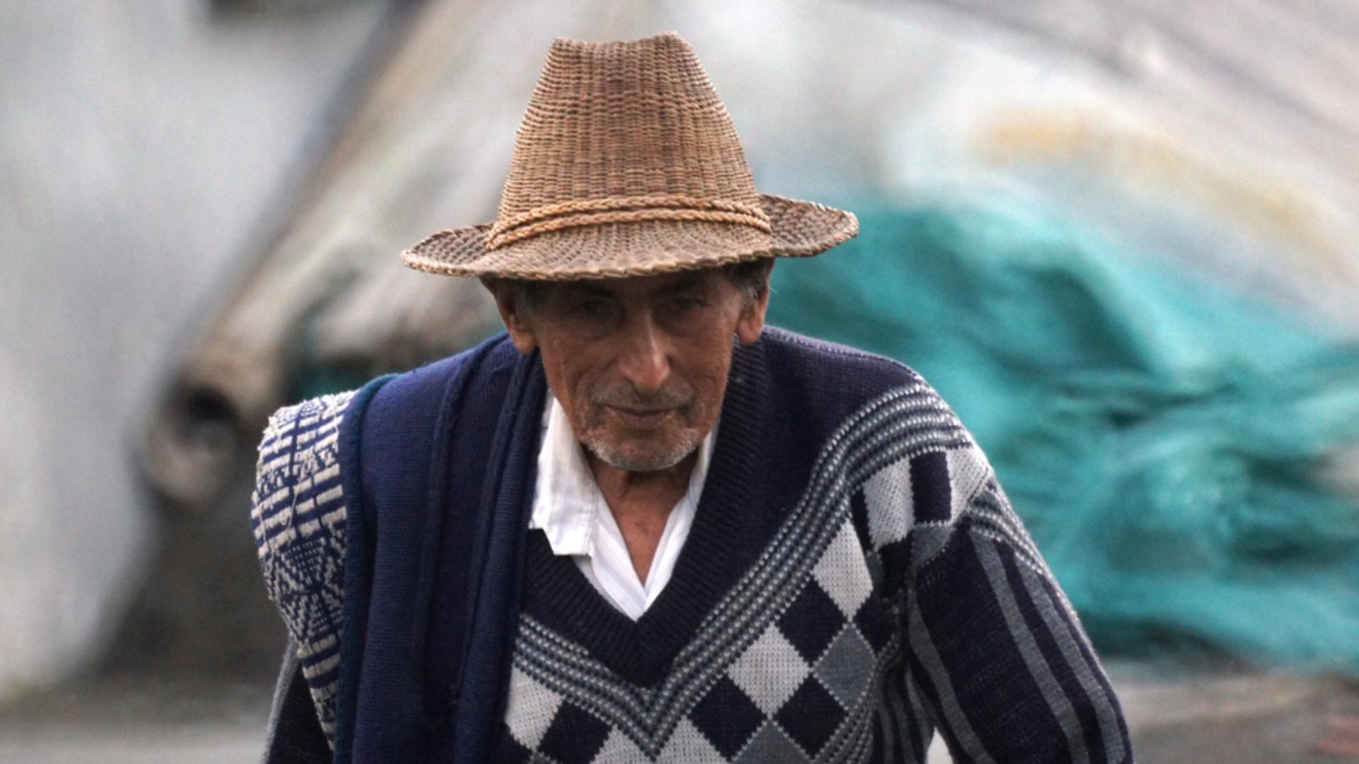 Se dau bani de la stat Ajutor de 280 lei pe animal pentru fermieri Termen depunere cereri