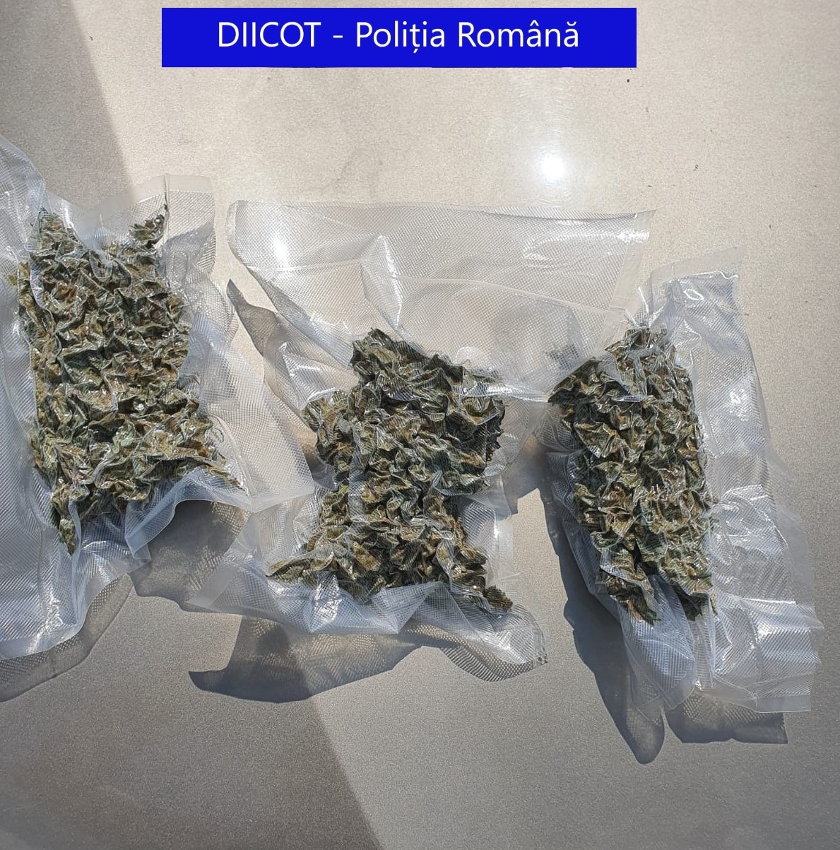 patru tineri doi din oradea condamnati pentru canabis