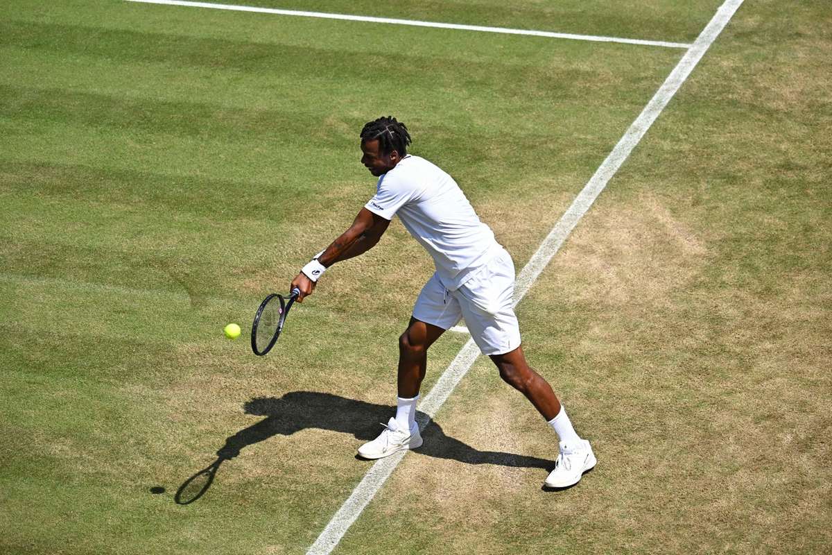 Gael Monfils si Nick Kyrgios vor juca impreuna la Washington