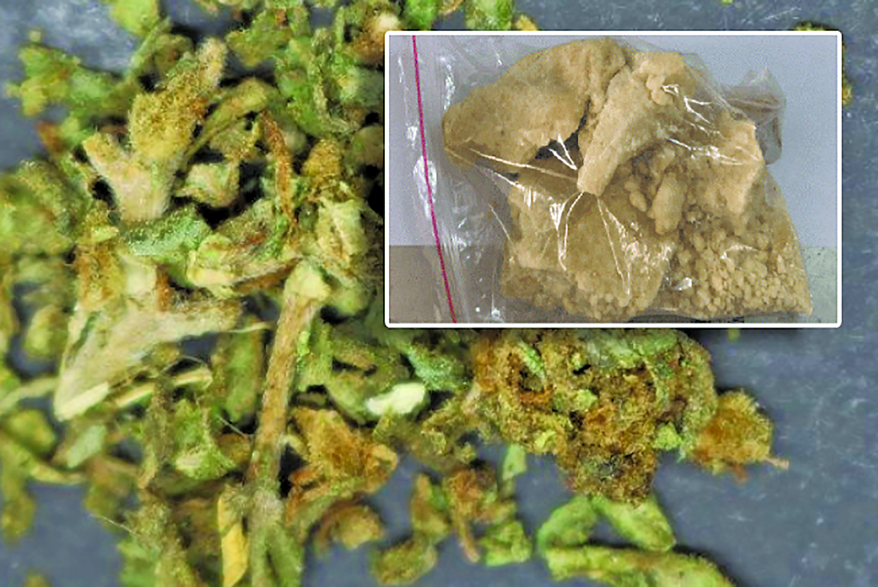 Mama din Oradea condamnata pentru trafic de droguri