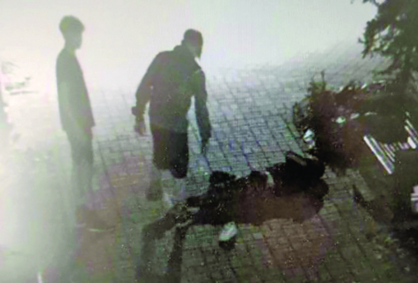 Tanar din Oradea acuzat de talharie eliberat
