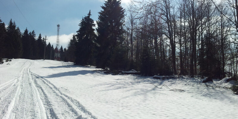 Un val de aer tropical va ajunge in Romania in 2026