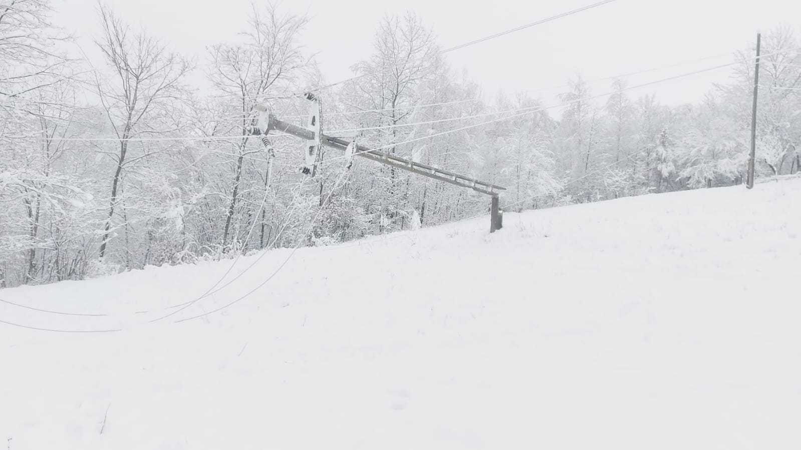 Vremea extrema a lasat 2000 de bihoreni fara curent