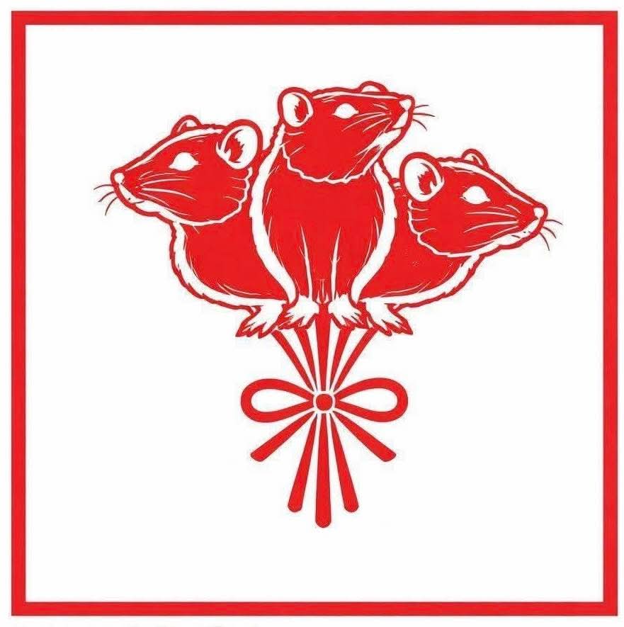 becul aprins in camara si soricelii presedintelui cum nicusor dan l a predat psd ului pe singurul om care se ocupa de curatenie