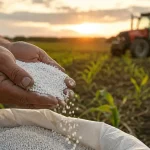 România, în topul UE la scumpirea producției agricole